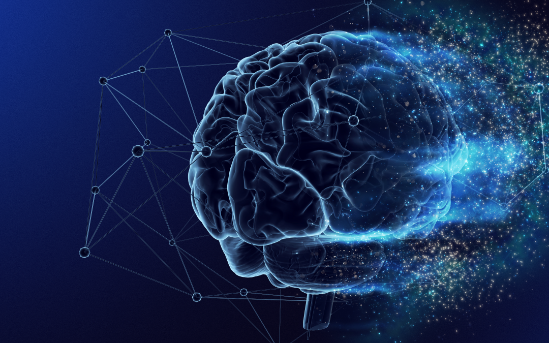 Neurociencia y Marketing: ¿Deseas aplicarlas?